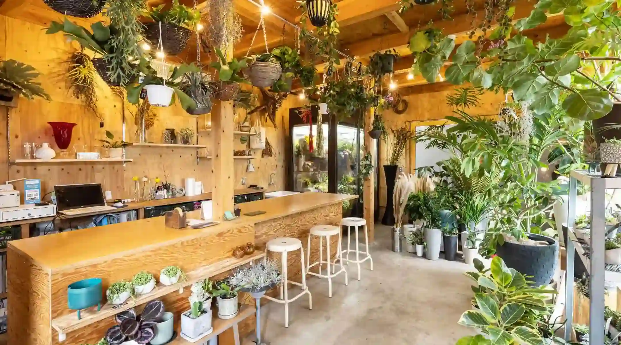 西濃フラワーの植物たち